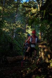 BIB: 
                            <button type="button" onclick="openModal(19245367)" class="btn btn-primary btn-sm float-right btn-popup" data-toggle="modal" data-target=".modal-high-quality">
                        <i class="fas fa-shopping-cart"></i> Add to Cart
                    </button>
                                            <button type="button" onclick="isThisMe(19245367, true)" class="btn btn-success btn-sm float-right btn-popup btn-isme hidden" data-toggle="tooltip" data-placement="bottom" title="นี่คือรูปของคุณใช่ไหม คลิกที่นี่เพื่อเอาเข้าอัลบั้ม">
                        <i class="fas fa-plus"></i> Add to album
                    </button>
                    <button type="button" onclick="isThisMe(19245367, false)" class="btn btn-warning btn-sm float-right btn-popup btn-isnotme hidden">
                        <i class="fas fa-ban"></i> Remove from album
                    </button>